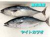 「○本日のお刺身○【島根県産】ヤイトカツオ、天然タイ○本日のお惣菜○各種ご用意しております！」
