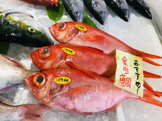 「魚魚市場鮮魚コーナーおすすめは「金目鯛・ヤリイカ」です♪」