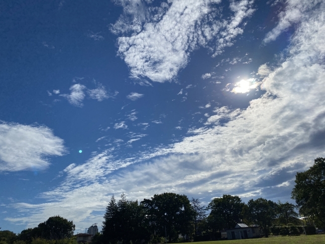 立秋前日の秋模様の今朝の空「オリンピックもそうだけど、今若い人がエラい❣️」