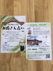 お坊さん占いチラシ「お坊さん占い始めました♪」