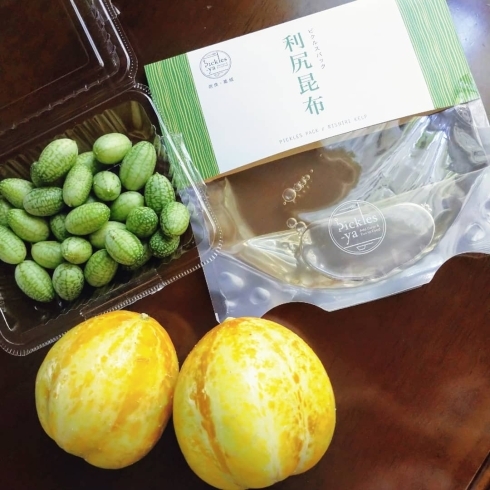 キュウリを使って簡単ピクルス「夏野菜キュウリのピクルス  奈良こだわりのピクルス液専門店」