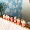 本日のジェラート14種類「おうち時間のお供にいかがでしょう」