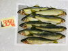 「魚魚市場鮮魚コーナーおすすめは「養殖・あゆ」です♪」