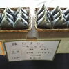 「玉野で出店中！」