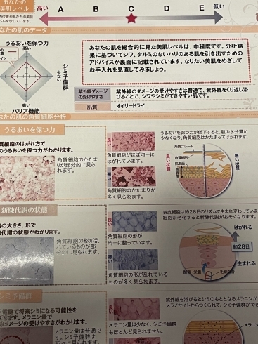 記者のスキンチェックアドバイスシート「メナード化粧品天理前栽代行店さんで、エステ体験♪」