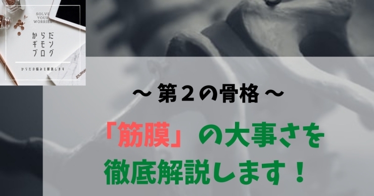 「ダイエットしたいなら筋膜リリースをするべき１４項目」