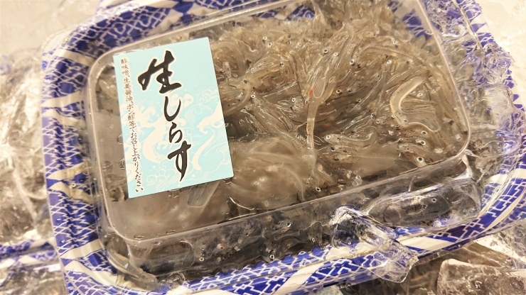 生しらす「【魚や山粋ホームページ　特売情報更新いたしました。】　八千代市、佐倉市の鮮魚店  　京成、東葉勝田台から徒歩10分　 」