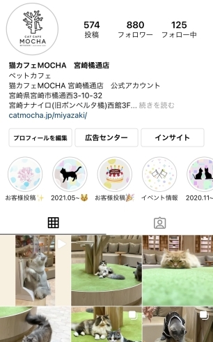 「Instagram 【宮崎ナナイロ(メガドンキ)にある猫カフェ・漫画・ドリンクバー・ワークプレイス】」