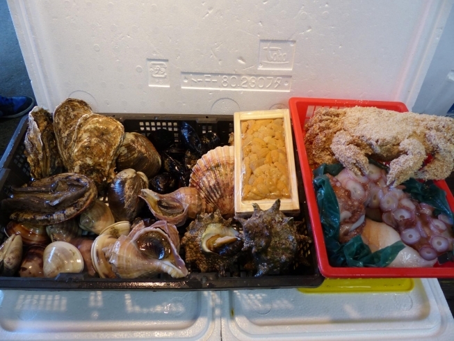 「株式会社 植木家」貝類を主体とした寿司種取扱店