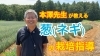 「プロが教える♪ ネギ栽培に必要な管理　＜土つくり・土寄せ・温度・湿度・品種＞　タネのハシモト」