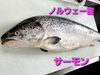 「○本日のお刺身○【ノルウェー産サーモン】【島根県産天然タイ】○本日のお惣菜○各種ございます！！」