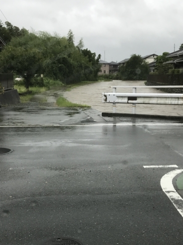 氾濫危険水位「お気をつけて下さいΣ（ﾟдﾟlll）」