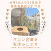 31日まで延長しますが、色々やってます「感染者数増加につきサロン営業はお休みしますが！zoom講座やレンタルよもぎ蒸しは開催中」