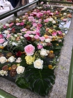 住吉神社の花手水「お会いできる日を待っています」