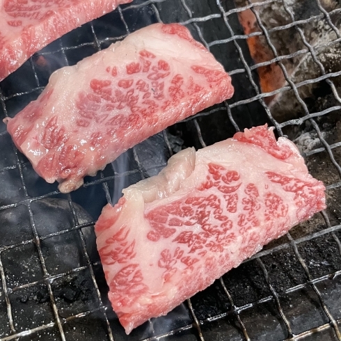 越中万葉牛のカルビ「お家で焼肉・BBQ！【天狗乃肉 林本店】」