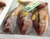 「魚魚市場鮮魚コーナーおすすめは「タイラギ」です♪」