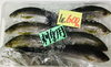 「魚魚市場鮮魚コーナーおすすめは「イサキ・ノドグロの開き」です♪」