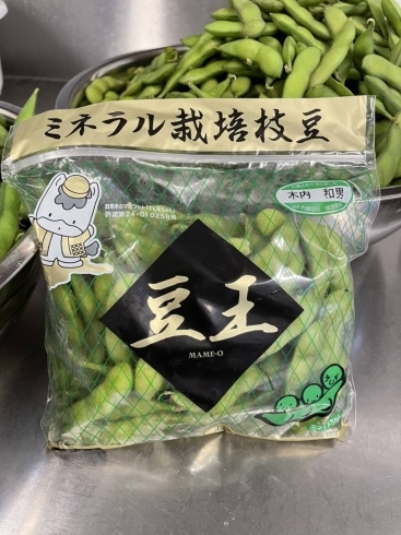 「群馬沼田産ブランド枝豆『豆王』のジェラート週末販売！」