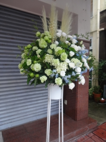 白・グリーン・ブルーのスタンド花「オープンの御祝スタンド花をお届けしました。」