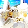 シェルトップネックレス★入荷です★