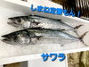 「○本日のお刺身○【しまね定置もん！】サワラ、大アジ」