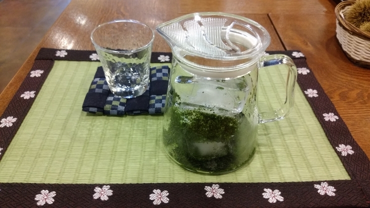 氷出し緑茶抽出中！「暑いときには、水出し緑茶でリフレッシュしましょう！」