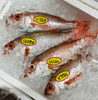 「魚魚市場鮮魚コーナーおすすめは「ノドグロ・本ガツオ」です♪」