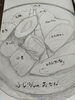 「9月12日まで休業致します。」