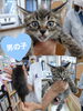 「里親募集のお知らせ〜里親さんが見つかりました〜」