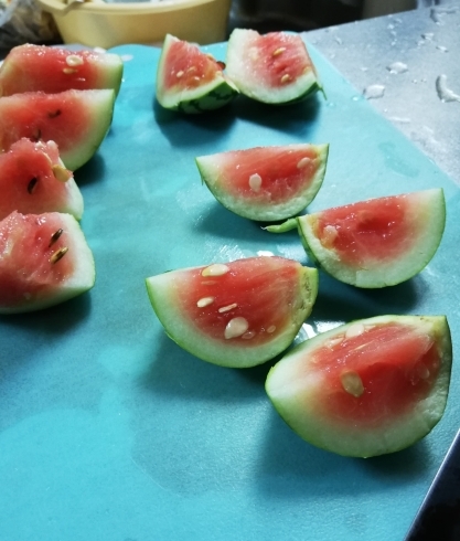 「美味しい！自家栽培のひとくち西瓜(*^_^*)」