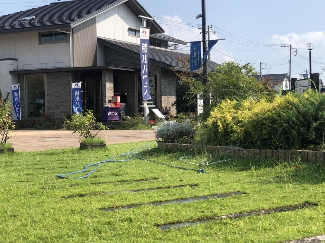 スプリンクラー活躍中「今日も暑いですね。。。スプリンクラー活躍中です！！【木更津市民会館の隣りにある総合住宅展示場】」