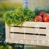コープ自然派ってこんな生協です　動画でご案内