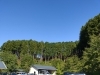 緑があるだけで空気が美味しく感じます！「緑の中【京都市南区・京都テルサ・ジム・プール・こども・駐車場完備】」