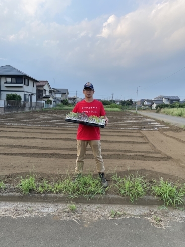 住宅地に囲まれた畑です！「☆カラフル野菜の小山農園、秋野菜の準備☆」