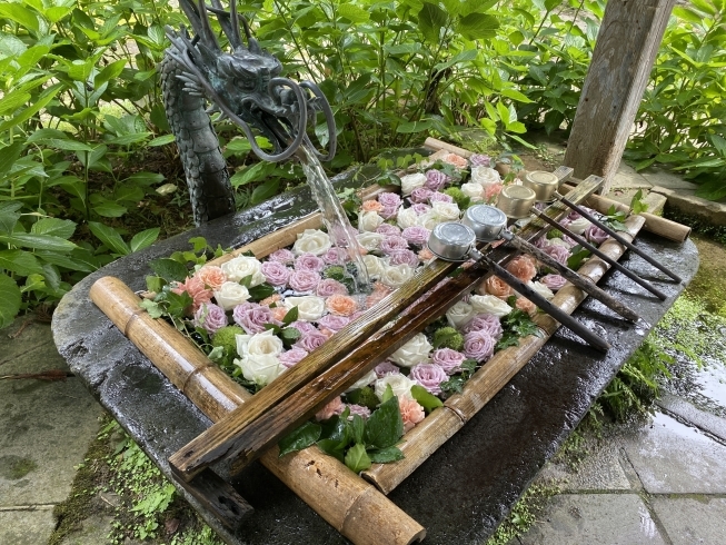 花手水「【胎内】乙宝寺の“花手水”イベントのご紹介！」