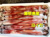 「○本日のお刺身○【島根県産】白イカ、トビウオ」