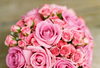 「今の頑張りは、いつか花が咲く」
