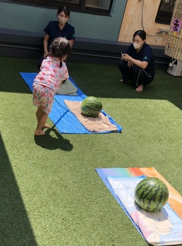 「コンパス幼保園　スイカ割り」