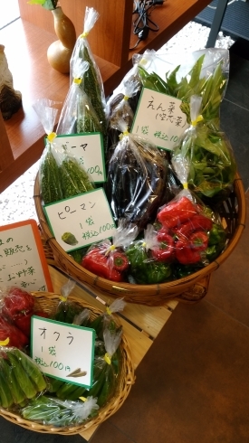 なぜかお茶屋に野菜。どれでも1袋100円！「8月31日は『野菜の日』！」