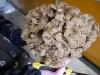 ふるさと納税 BP-3 毎月【3回定期便 】飯村きのこ園の笠間