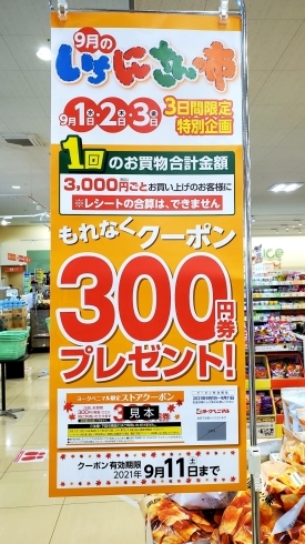 「9月3日(金)まで、お得なクーポン券をプレゼント❕」