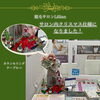 「今年もリリアン出雲店にXmasがやって来ました！」