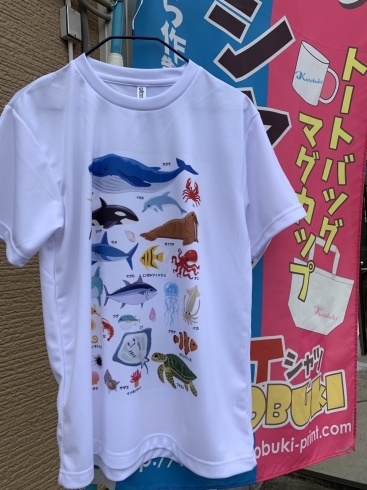ドライTシャツ海の動物バージョン「動物図鑑みたいなTシャツ」