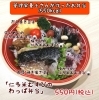 「わっぱ弁当、女性に特に人気です❗」