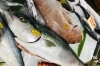 「魚魚市場鮮魚コーナーおすすめは「天然ぶり・天然ヒラメ」です♪」