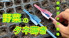 「タネ屋が教える！種からの育て方【播種・覆土・管理・植え付け】　タネのハシモト」