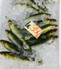 「魚魚市場鮮魚コーナーおすすめは「愛知県産あゆ・ボイルシャコ」です♪」