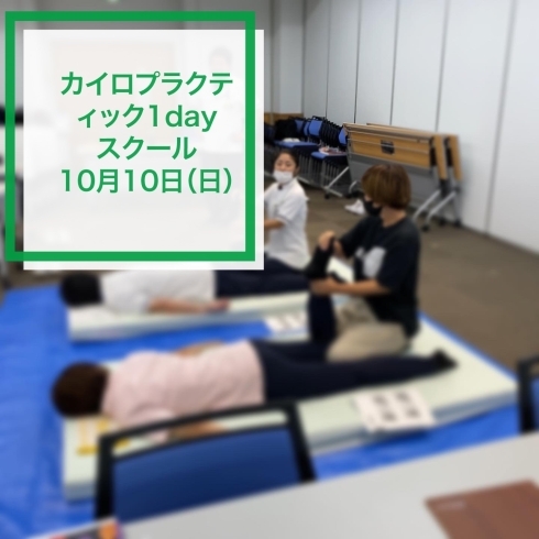 骨盤を整えて健康まっしぐら「お家で「骨盤調整」できちゃうよ」