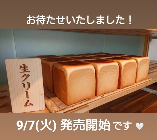 「【 生クリーム食パン 販売スタート 】」