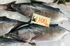 「魚魚市場鮮魚コーナーおすすめは「ハガツオ・ボイルシャコ」です♪」